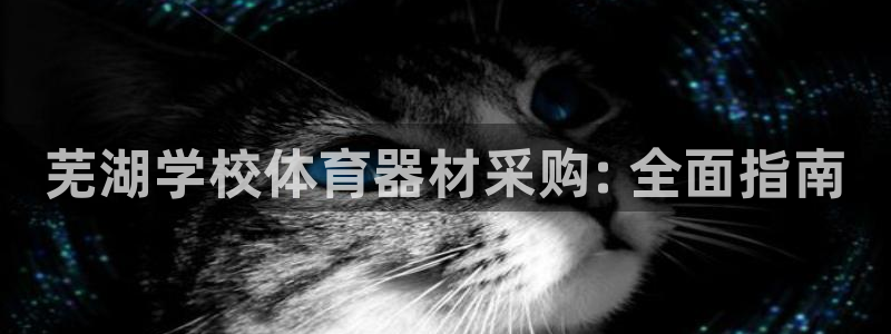 极悦平台注册流程详解视频:芜湖学校体育器材采购: 全面指南