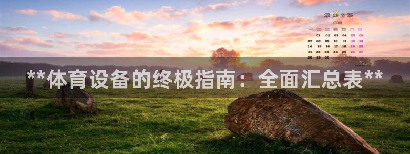 极悦平台创始人背景故事是什么:**体育设备的终极指南:全面汇